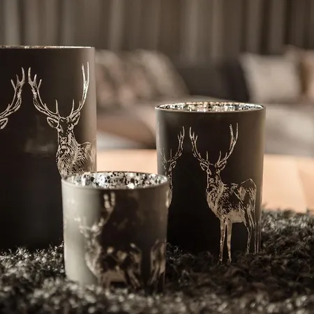 Lejlighed Mountain Kirchberg By Managers *